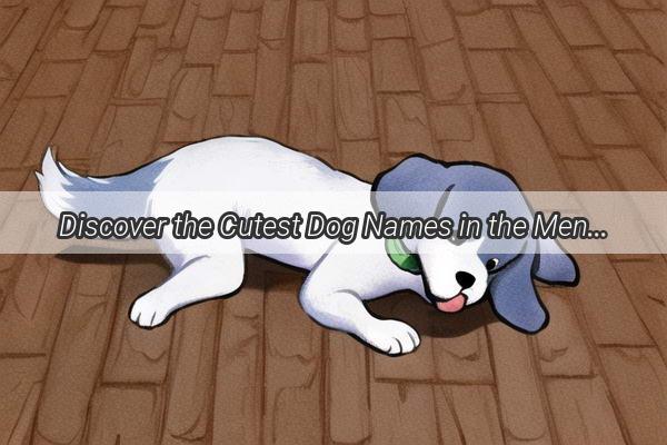 Discover the Cutest Dog Names in the Meng Meng Name Directory  A Heartwarming Journey into Canine Charm